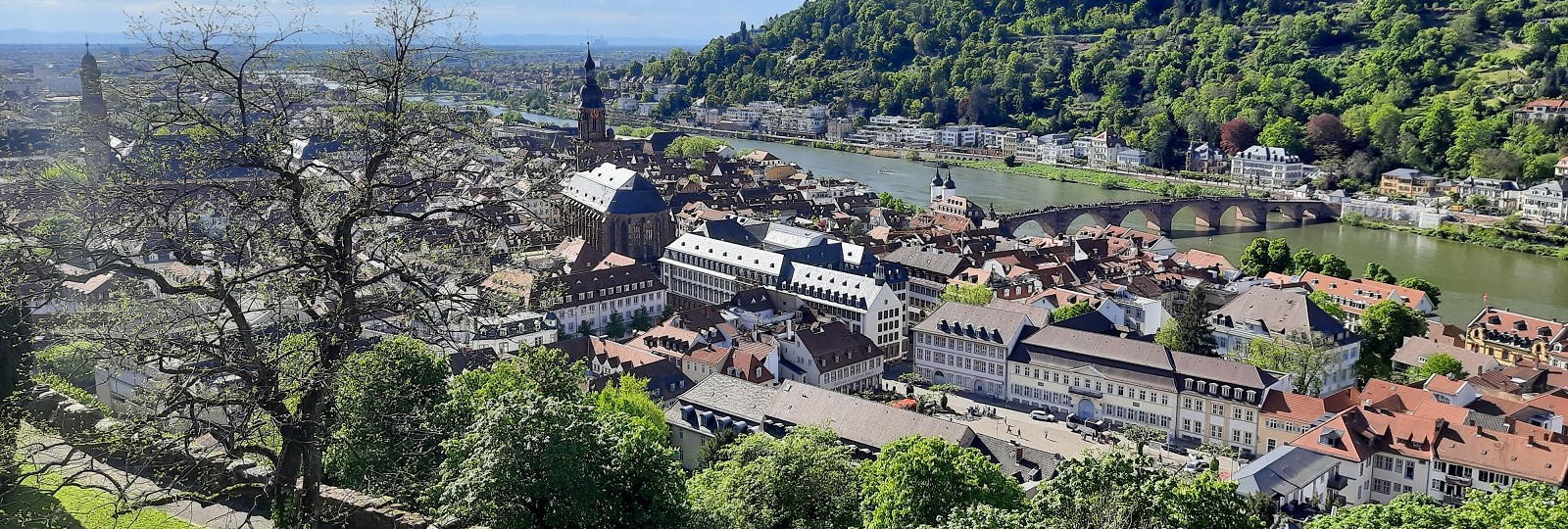 2024 in Heidelberg